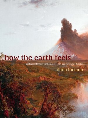 cover image of How the Earth Feels
